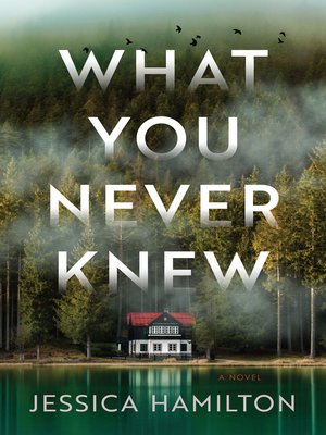 cover image of What You Never Knew
